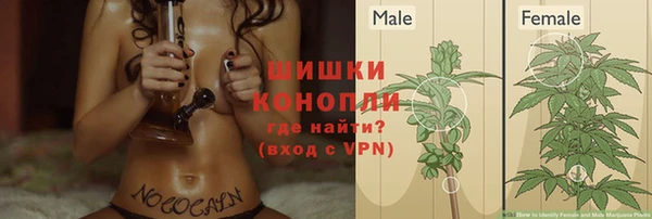 мдпв Вязьма